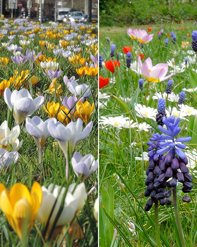 Breda - 2 phases.jpg